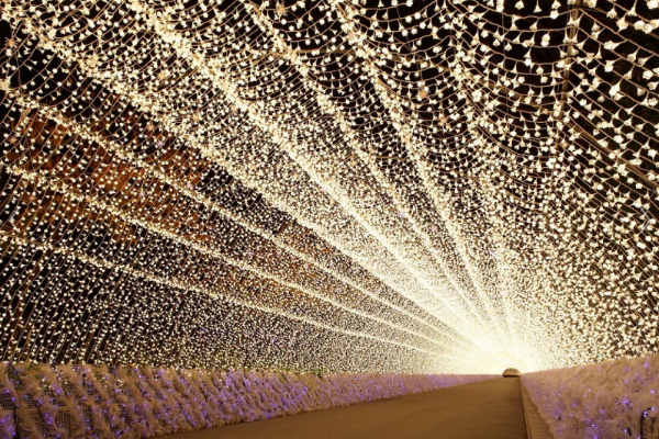 日本最大夢幻級燈海！名花之里此生必訪浪漫迴廊