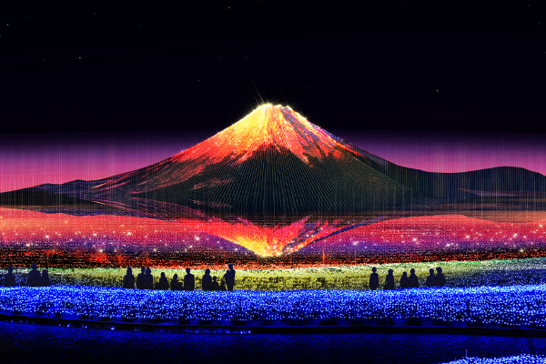 夢幻燈海搭配美麗的富士光影。  (圖／なばなの里)