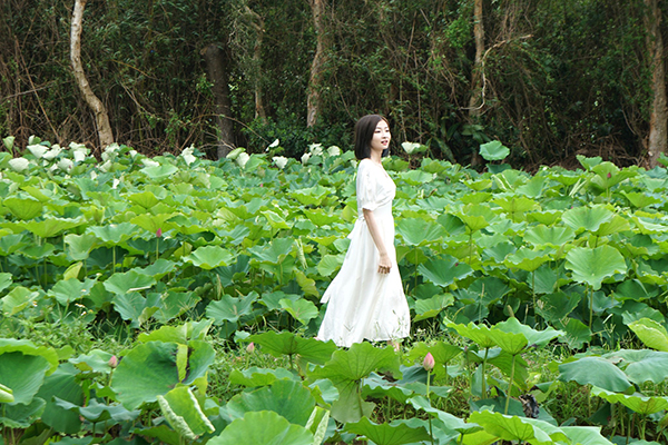 主會場周邊蓮花田已悄悄綻放。(圖/觀音區蓮花園休閒農業區,以下同) 主會場周邊蓮花田已悄悄綻放。(圖/觀音區蓮花園休閒農業區,以下同)