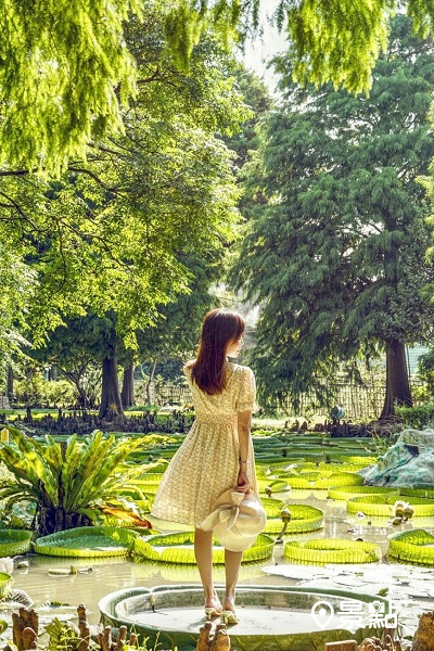 周邊蓮園可以體驗乘坐大王蓮拍美照。(圖/jiying_tseng) 周邊蓮園可以體驗乘坐大王蓮拍美照。(圖/jiying_tseng)