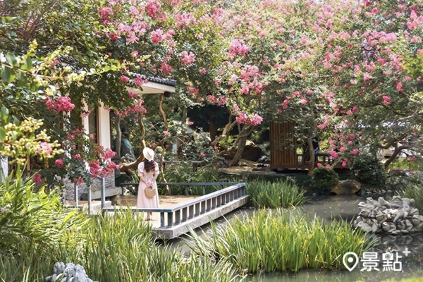 銘園庭園美術館日式園藝造景，紫薇花滿開。 (圖／153_mom，下同)