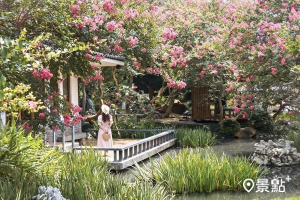 銘園庭園美術館日式園藝造景,紫薇花滿開。 (圖/153_mom,下同) 銘園庭園美術館日式園藝造景,紫薇花滿開。 (圖/153_mom,下同)