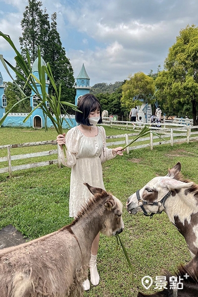 可以換飼料餵食小動物們。 可以換飼料餵食小動物們。