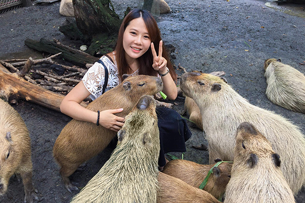 頑皮世界為半開放式，可與動物近距離接觸。 (圖／頑皮世界)