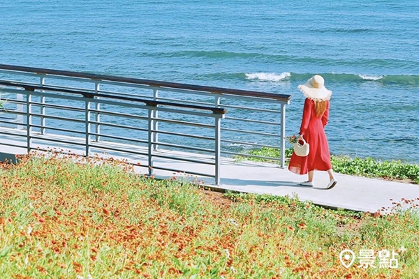 步道上天人菊花海海景，美的讓人印象深刻。(圖／3more_hi4)