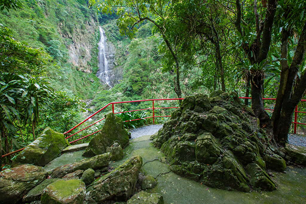 觀音瀑布風景區夏季沁涼無比。(圖/阿里山國家風景區管理處) 觀音瀑布風景區夏季沁涼無比。(圖/阿里山國家風景區管理處)
