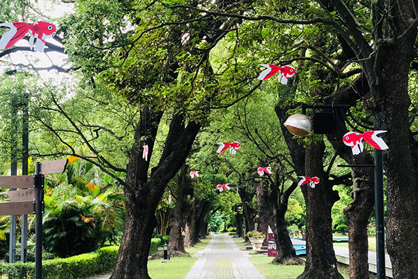 戶外綠色隧道也可以看見金魚燈籠悠遊園區。 (圖/總爺藝文中心) 戶外綠色隧道也可以看見金魚燈籠悠遊園區。 (圖/總爺藝文中心)