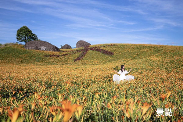 往年赤柯三景之一的夢幻美景。（圖／pierrehuang）