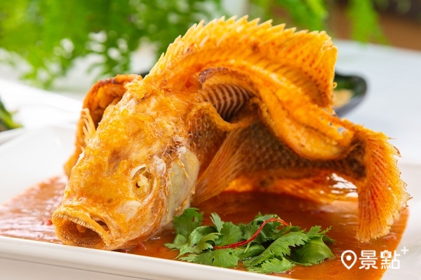 主打菜色娘惹炸尼羅紅,酥炸鮮甜魚肉搭配酸甜清爽娘惹醬,十分美味 主打菜色娘惹炸尼羅紅,酥炸鮮甜魚肉搭配酸甜清爽娘惹醬,十分美味