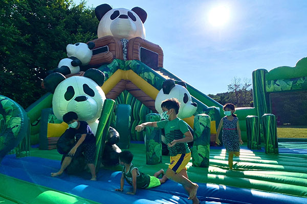 熊貓竹林樂園。 熊貓竹林樂園。