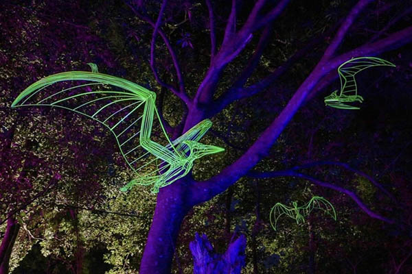 幾何線型夜光翼手龍次元。 幾何線型夜光翼手龍次元。