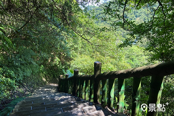 漫遊在步道間,感受四周被大自然環繞的體驗。 漫遊在步道間,感受四周被大自然環繞的體驗。
