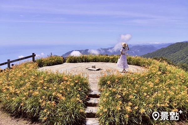 太麻里金針山制高點可將黃金花海和藍海一同入鏡。 (圖/laiyuping9520) 太麻里金針山制高點可將黃金花海和藍海一同入鏡。 (圖/laiyuping9520)