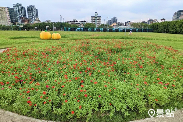 花海搭配上黃澄澄的大南瓜裝置藝術與月亮座椅,童趣十足。 花海搭配上黃澄澄的大南瓜裝置藝術與月亮座椅,童趣十足。