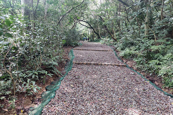 石門山步道改善工程採用「生態工法」，以碎石鋪設路面。