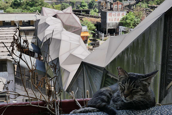 猴硐貓村。 猴硐貓村。