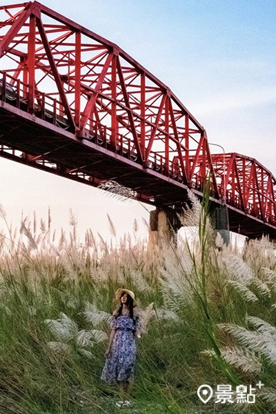 紅橋同框甜根子拍出獨特秋景。(圖／double.leo.tw，以下同)