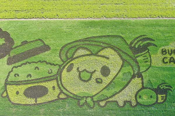 2022台南好米季「咖波稻陣走」彩繪稻田於10月8日至10月23日正式登場。 (圖／後壁區農會，以下同)