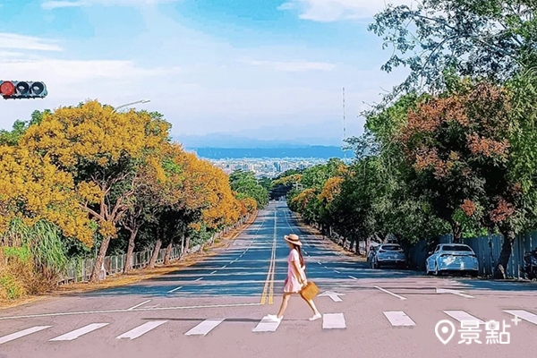 永春南路制高點斑馬線,拍出浪漫秋天氛圍。(圖/liulianshan,以下同) 永春南路制高點斑馬線,拍出浪漫秋天氛圍。(圖/liulianshan,以下同)
