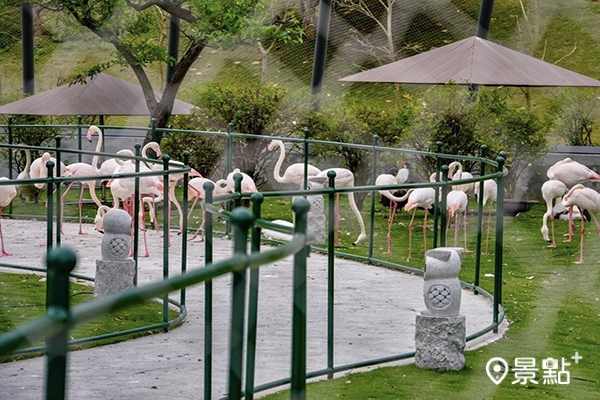 九九峰動物樂園。(圖／happy541019)