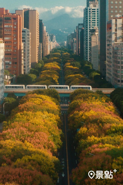 台北敦化北路。 (圖/itsdanielchen) 台北敦化北路。 (圖/itsdanielchen)