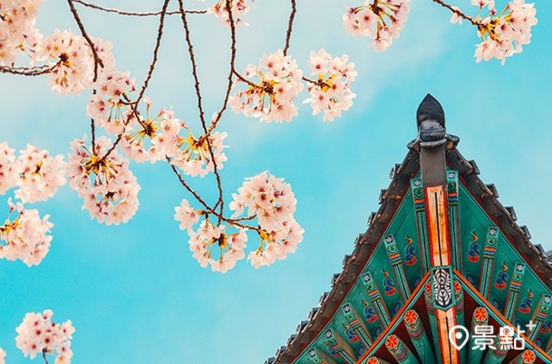 圖/濟州航空 圖/濟州航空