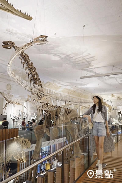 土銀展示館《古生物大展》。 (圖/jessicaliao19) 土銀展示館《古生物大展》。 (圖/jessicaliao19)