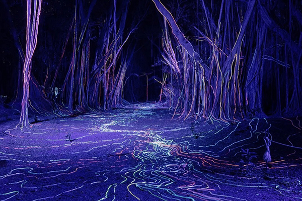 大隆田展區的亮點展件《沉水流光》。(圖／台南市文化局、宜東文化，下同)