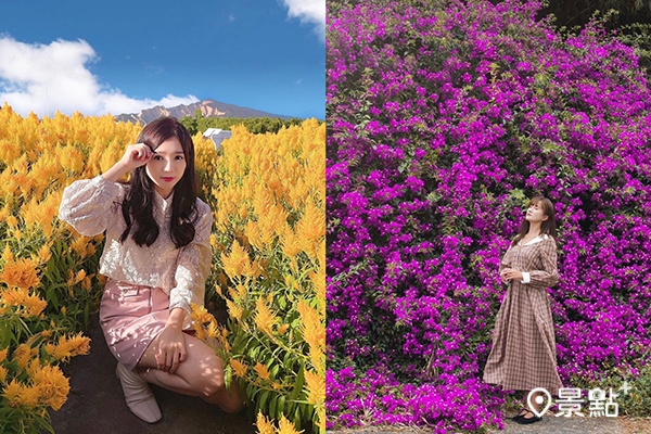 后里花景賞不玩。(圖/smile0103day、syl.vialife) 后里花景賞不玩。(圖/smile0103day、syl.vialife)