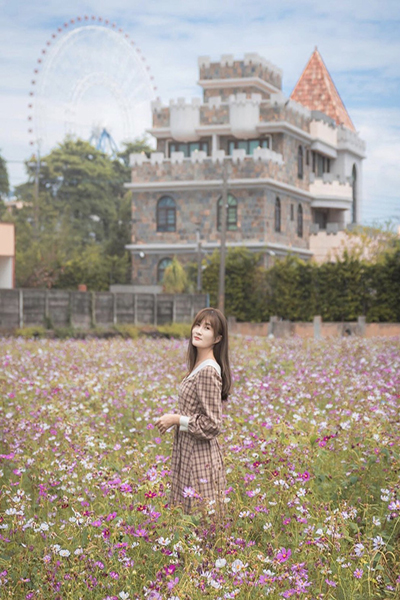 摩天輪城堡波斯菊花海。(圖/syl.vialife) 摩天輪城堡波斯菊花海。(圖/syl.vialife)