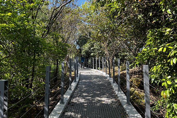 大同山觀景步道經過整修後，將原本的木棧道打造城更加安全的步行環境。