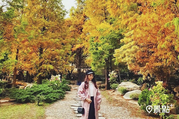 秋冬變色時的品園落羽松美景。(圖／fiiiiiiiibebe0301，下同)