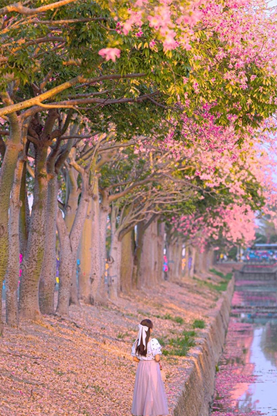 (圖/tsotso_1206) (圖/tsotso_1206)