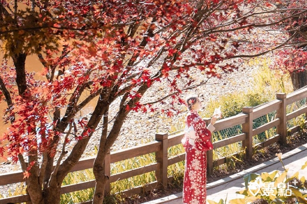 穿著和服漫步在湖畔旁的楓樹之間，彷彿置身日本。（圖／guang_wanniii）