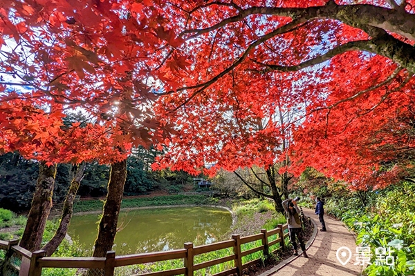 (圖/福壽山農場FushoushanFarm) (圖/福壽山農場FushoushanFarm)