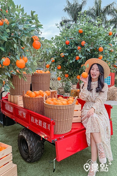 (圖/ulaluo) (圖/ulaluo)