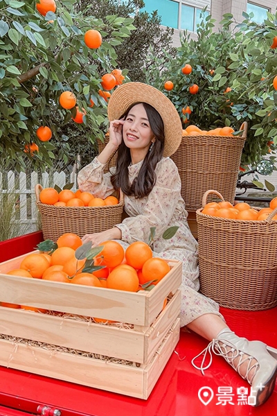 (圖/ulaluo) (圖/ulaluo)