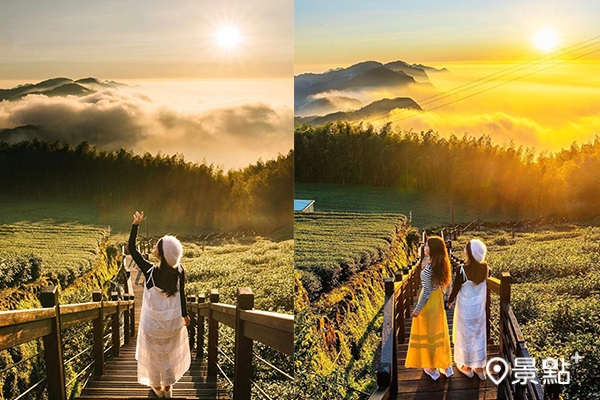 絕美雲海夕陽大景！迷濛彩霞茶園風光超好拍- MOOK玩什麼‧景點家｜即時