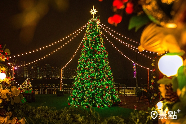 園區中多棵聖誕樹掛滿璀璨配飾，照耀每個角落。