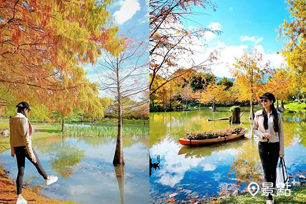 三色漸層的落羽松搭配湖岸景色，拍起來超有異國風情。（圖／lilli.ankuo，以下同）
