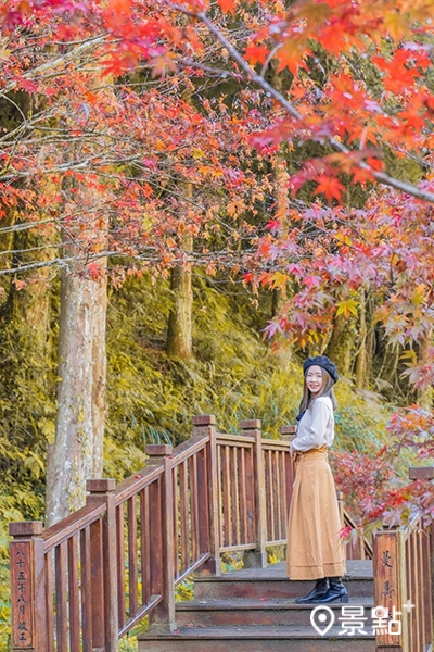 (圖/a836024) (圖/a836024)