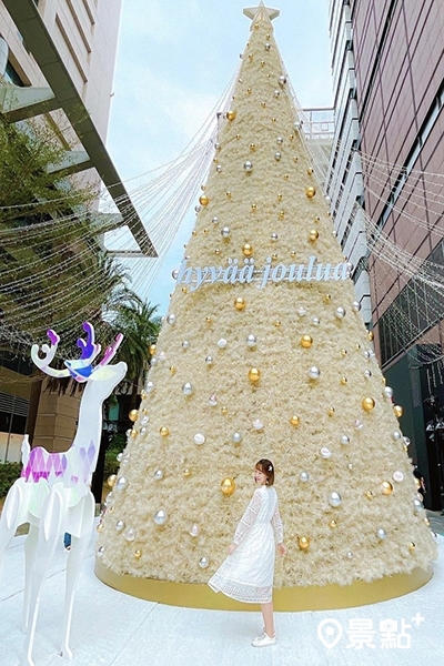 (圖/littlestar0202) (圖/littlestar0202)
